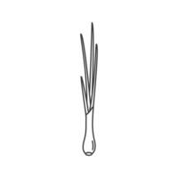 Green onion outline icon. Spring onion line icon design. Isolated on white background. vector