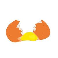 Broken egg, eggshell with yolk isolated on white background, illustration vector