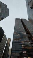 Bottom view of modern skyscraper in business district video