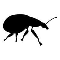 Weevil insect pest icon black color illustration image flat style vector
