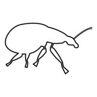 Weevil insect pest contour outline line icon black color illustration image thin flat style vector