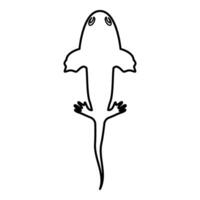 Axolotl ambystoma mexicanum overhead view contour outline line icon black color illustration image thin flat style vector