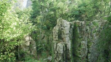 A majestic rock formation standing tall in Australian forest. mountain path video