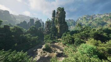 A dense forest with towering rocks and majestic trees video