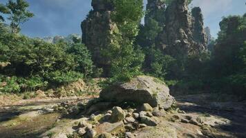 boulder standing tall in the heart of an Australian forest. mountain path video