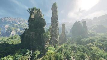 un grupo de rocas en un sereno bosque ajuste en China video