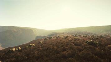 beautiful picture of a foggy rocky landscape with some greenery video