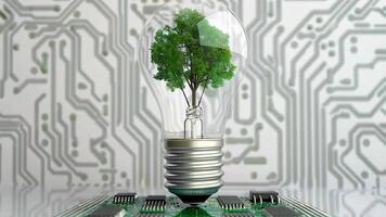 A lightbulb with a growing tree symbolizes the fusion of technology and nature, representing sustainability and innovation. video