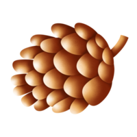 Pine cone illustration in Fall by hand drawn png