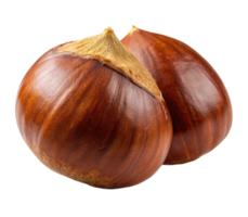 Two whole chestnuts showing their shells and tops png