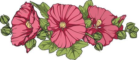 Beautiful pink flower surrounded by buds and leaves in full bloom. Delicate detailed mallow with bright petals and lush green leaves vector