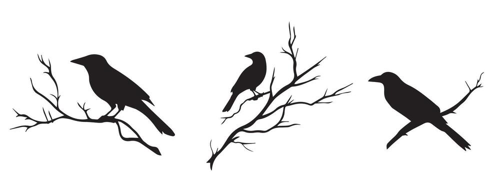 Silhouettes of three crows perched on bare branches in minimalist design against a white background vector
