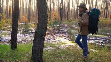 A man with a camera walks along a trail in the forest. Travel concept. Back light Slow motion video