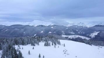Flight over the forest and Carpathian mountains in winter. Beautiful landscape of winter mountains. Hoverla is the highest point of Ukraine. Tent in the forest. Aerial view. 4K video