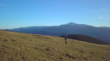A man travels in the mountains. Beautiful nature of the Carpathian mountains. The concept of travel and active lifestyle. Aerial view 4K video