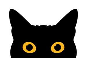black cat with yellow or amber colored eyes, illustration cut out and isolated on transparent background png