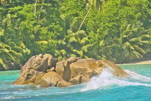 Huge granite stones on Mahe island, turquoise water green background with palm trees, Seychelles photo