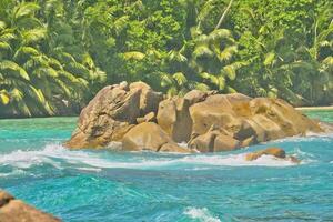 Huge granite stones on Mahe island, turquoise water green background with palm trees, Seychelles photo