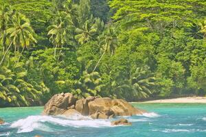 Huge granite stones on Mahe island, turquoise water green background with palm trees, Seychelles photo