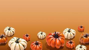 Orange and white pumpkins on orange yellow gradient background banner minimal copy space photo