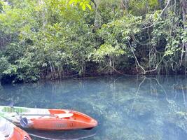 Explore the beauty of nature with a kayak journey through a calm canal, bordered by lush greenery and a dense forest. A perfect scene for adventure tourism and outdoor photography enthusiasts photo