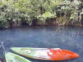 Explore the beauty of nature with a kayak journey through a calm canal, bordered by lush greenery and a dense forest. A perfect scene for adventure tourism and outdoor photography enthusiasts photo