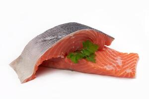 red fish on white photo