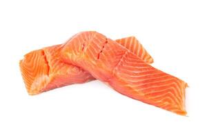 salmon on white photo