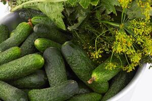 Cucumbers in a basin photo