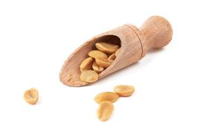 Salted peanuts isolated photo