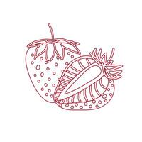 Strawberry drawing, hand drawn botanical illustration set. Collection design isolated elements for coloring book page, background, packaging, card, story, post, social media, typography, party, poster vector