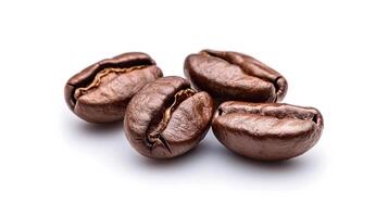 Isolated on a white backdrop are roasted arabica coffee beans. photo