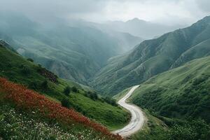 Twisting Mountain Road with Sharp Hairpin Curves and Breathtaking Valley Views, Framed by a Clean White Background photo