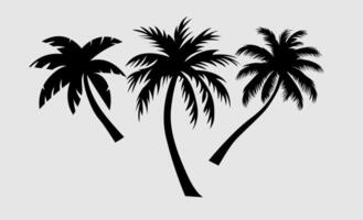 palm tree design, set of palm tree vector