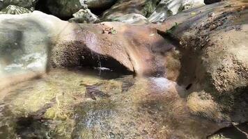 Clear water flows from the mountains to form small waterfalls between the rocks, stones, creek, ecological screensaver, meditation , zen, autumn, fall, spring video