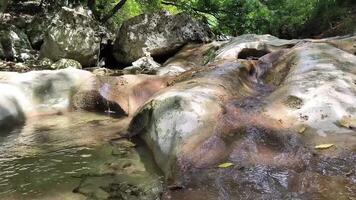 Clear water flows from the mountains to form small waterfalls between the rocks, stones, creek, ecological screensaver, meditation , zen, autumn, fall, spring video