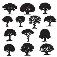 various deciduous trees silhouettes on the white background vector