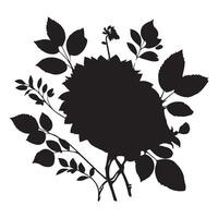 black Dahlia with branch image white background vector