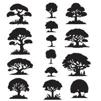 various deciduous trees silhouettes on the white background vector