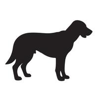 silhouette of a dog on a white background. vector