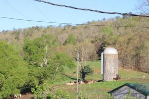 Rural Farm With Silo In The Background photo