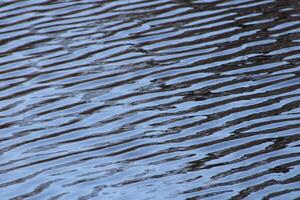 Light Reflections On Top Of Water Abstract photo