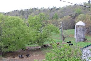 Rural Farm With Silo In The Background photo