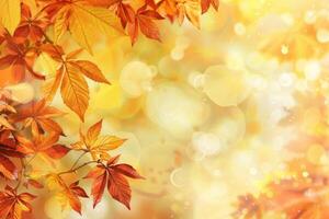 Autumn golden background with leaves and copy space photo