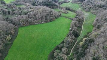 Vibrant green meadows and winding trails in a serene valley during early springtime surrounded by rustic hills photo