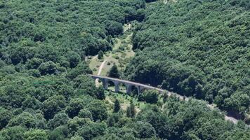 Aerial view of a scenic railway bridge nestled in lush green forest during a bright sunny day photo