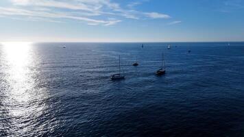 Sailboats gliding over the shimmering ocean under a clear blue sky during a sunny afternoon photo