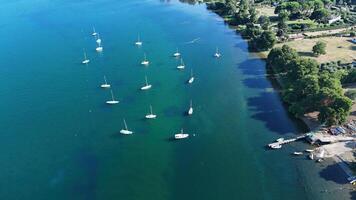 Sailboats gliding peacefully on a tranquil lake surrounded by lush greenery and sun-kissed shores during a clear summer day photo