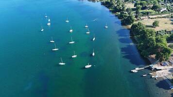 Sailboats gently anchored in tranquil waters by a lush green shoreline under a clear blue sky during a serene summer afternoon photo