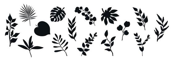 Collection of plant silhouettes. Branches, leaves and botanical elements isolated on white background vector